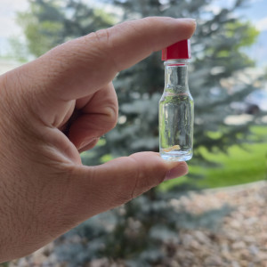 Cut off Frenulum in a bottle