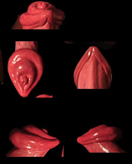 how my cock should look like when its  has his mods