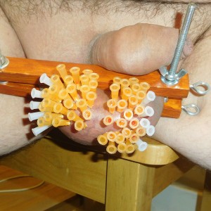 Cock and ball press 60 needles