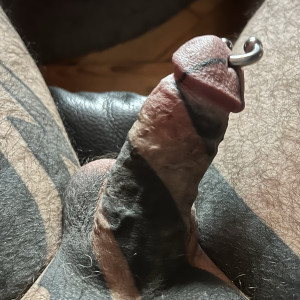 2026