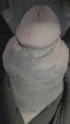 KY turtlehead