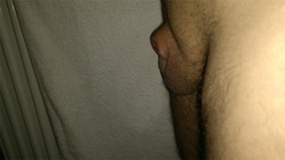 schwanzlos seit 2018