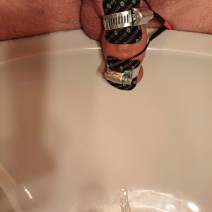 elektrische Vorsafternte