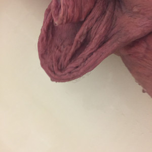 Dick and balls after