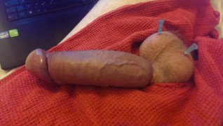A banded cock and balls pierced by injection needles. What would happen if you had access to them like that?