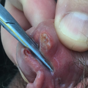 MOAR CLAMPING! I’m on a mission now. 