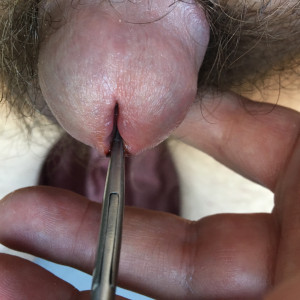 I love clamping and walking around to do chores. Love the weight of it!