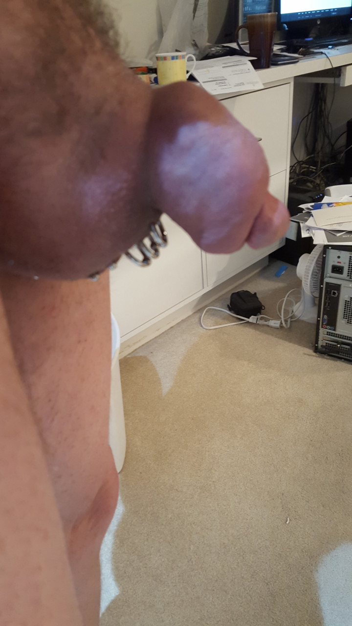 Scrotal Ladder (RIP)