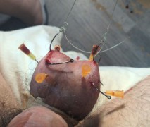 yes, the hooks are firmly in the balls
