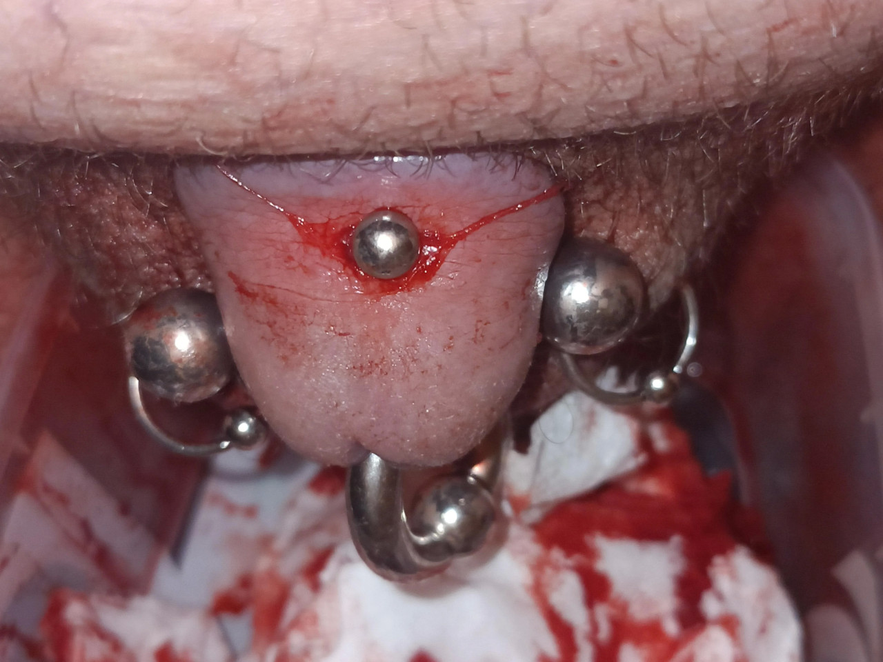 Self piercing apadravya,sorry for the blood took the pic right after I did it 