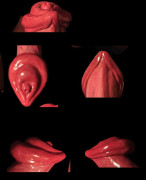 how my cock should look like when its  has his mods