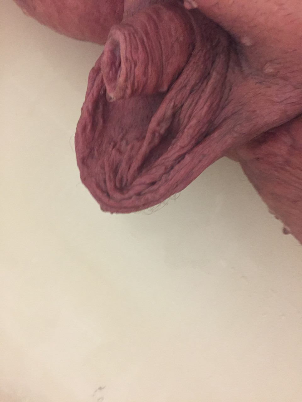 Dick and balls after