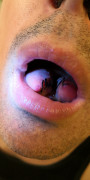fresh split tongue 2022