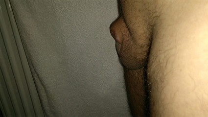 schwanzlos seit 2018