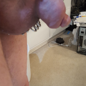 Scrotal Ladder (RIP)