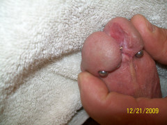 split glans and piercing