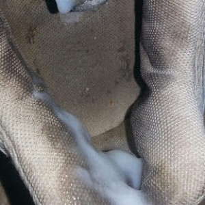 Cum before Injections