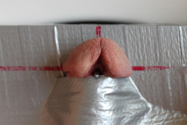 2. Step Fixing 2010-11 Pic 2
