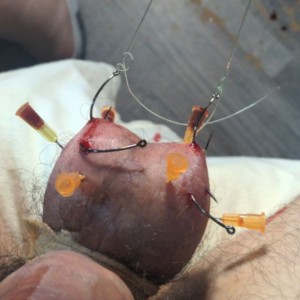 yes, the hooks are firmly in the balls