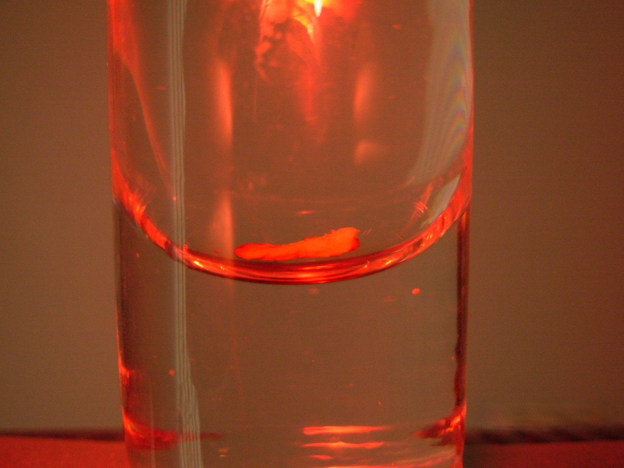 Frenulum in a shot glass
