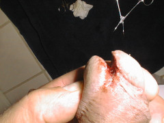First cut with scissors