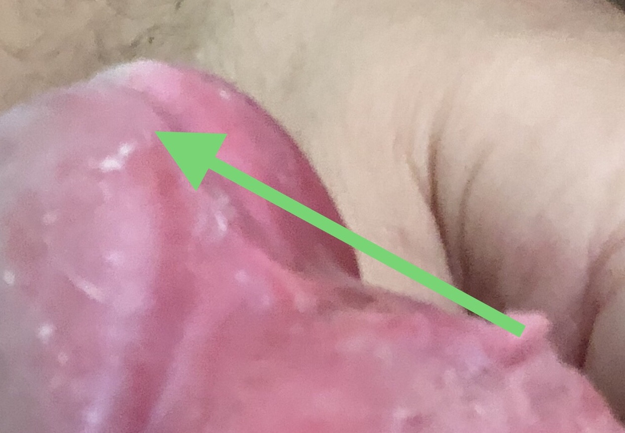 Arrow showing where they used to be connected. 