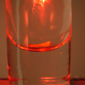 Frenulum in a shot glass