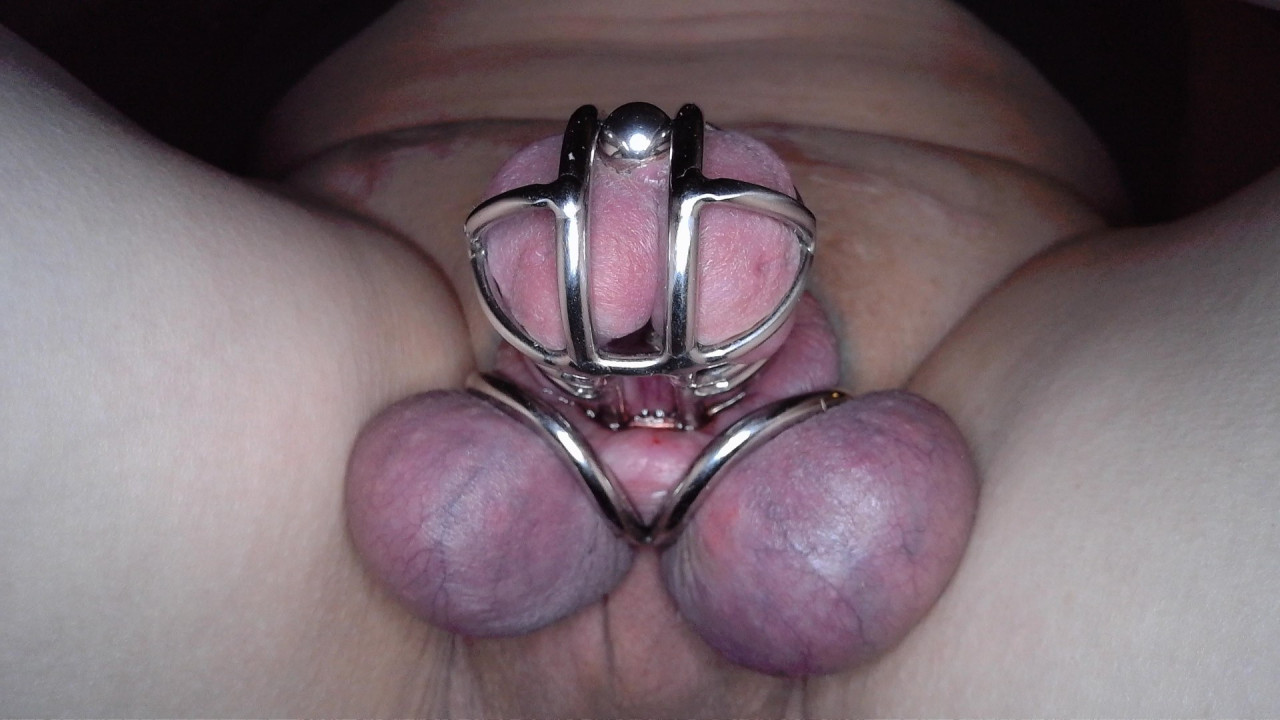 in chastity, balls ready for skewering, come and give your orders in my Teams torture room