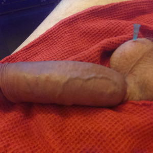 A banded cock and balls pierced by injection needles. What would happen if you had access to them like that?