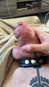 erect and visible cock head