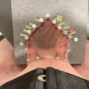 The penis is safely tucked away in its little home