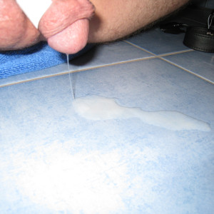 2012 - ne schöne Ladung rausgeholt